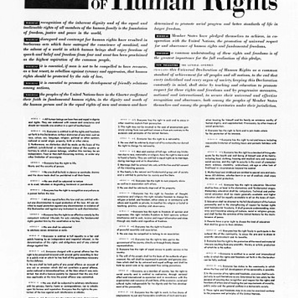 356px-the_universal_declaration_of_human_rights_10_december_1948.jpg