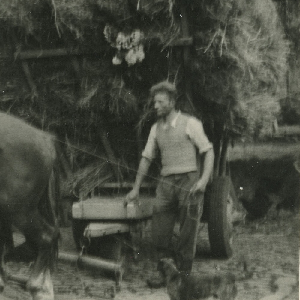 Hubert a la ferme-1