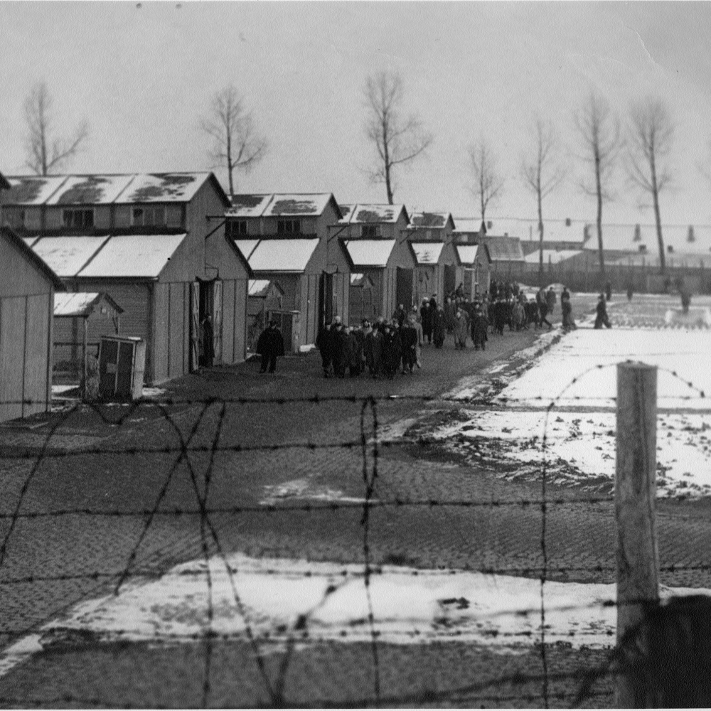 Het interneringskamp van Lokeren