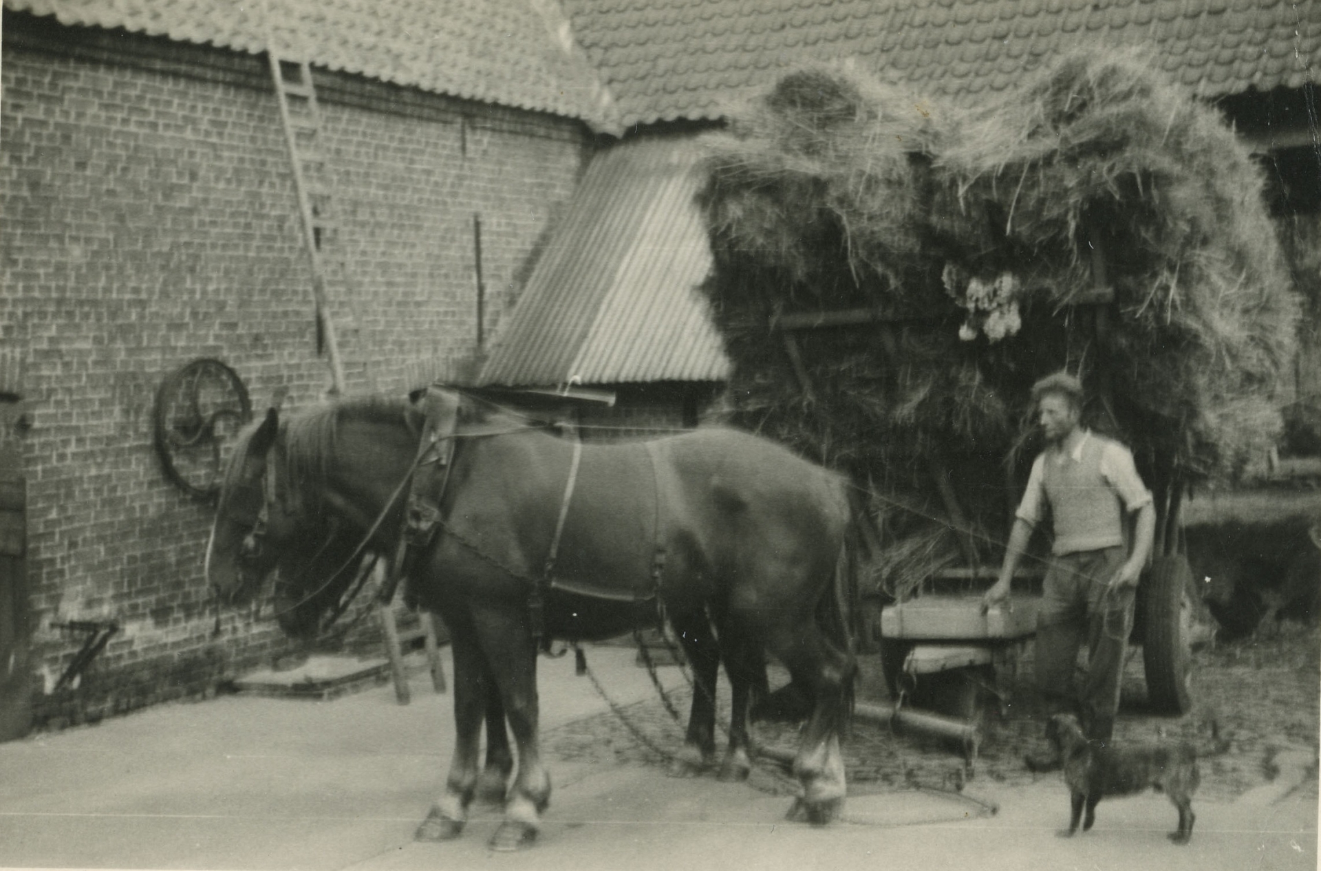 Hubert a la ferme-1