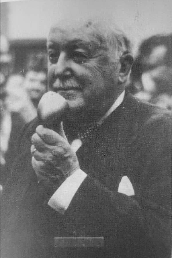 Henri Rolin portrait