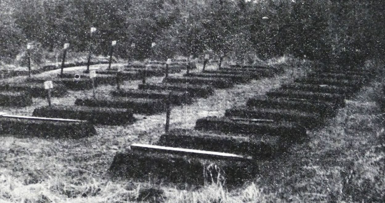 Esterwegen - cimetière NN