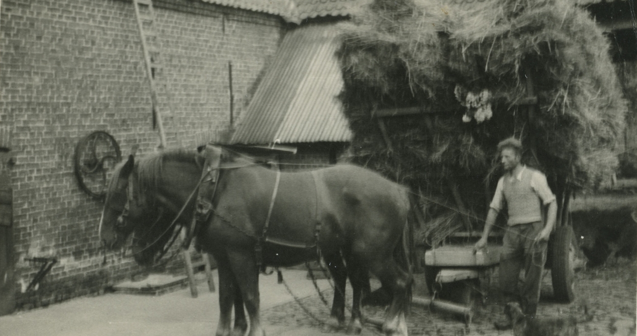 Hubert a la ferme-1